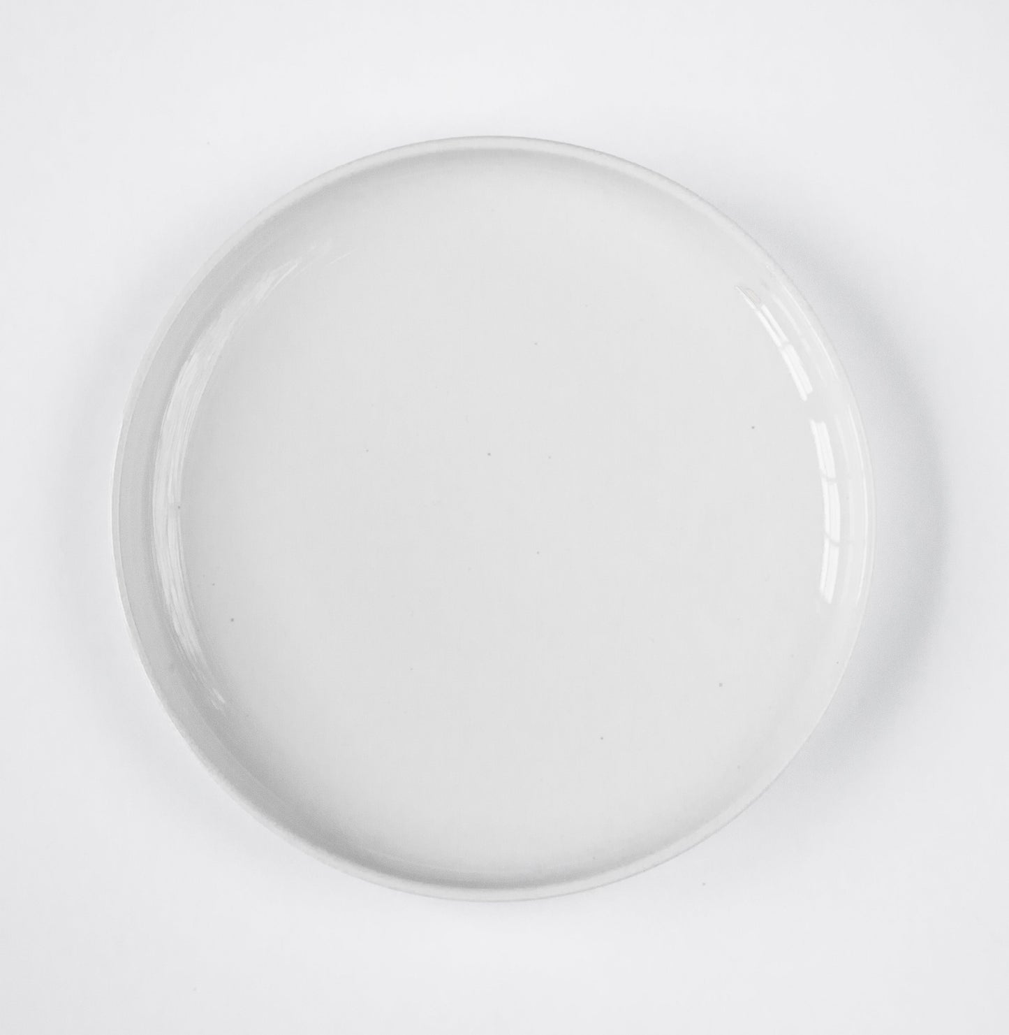 BLANC DINNER PLATE